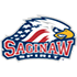 Saginaw Spirit