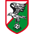 Sokol Kleczew