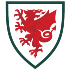 Wales U19