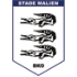 Stade Malien