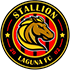 Stallion Laguna FC