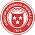 Hamilton Academical logo