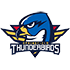 Springfield Thunderbirds